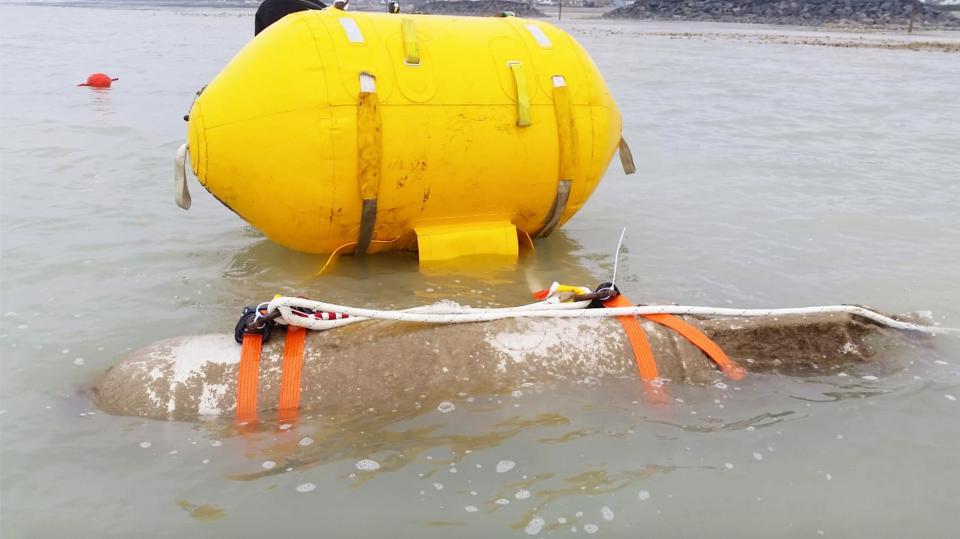 Ordnance Automatic Recovery System (OARS)